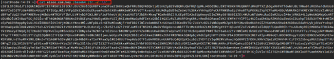 数字证书和证书密钥经过base64编码.png
