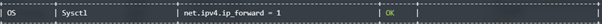 检查ip_forward转发是否开启.png