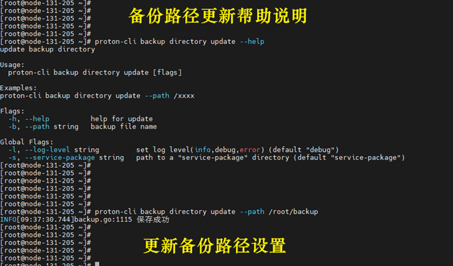 备份更新路径.png