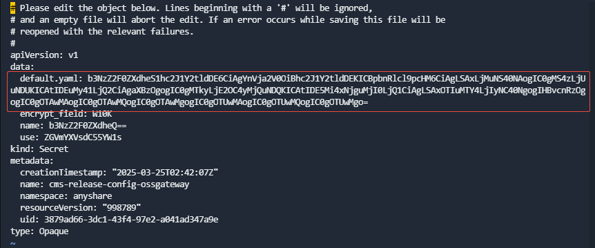融合部署-去除换行的base64编码的内容替换原内容-internalip.png