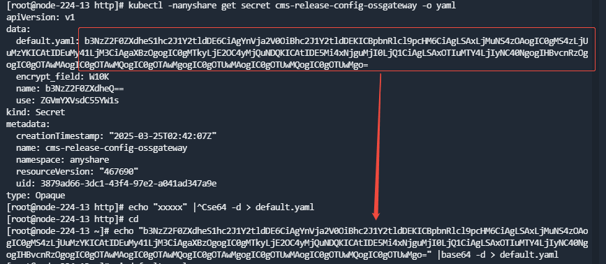 融合部署-获取default.yaml-internalip.png