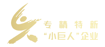 国家级专精特新“小巨人”企业